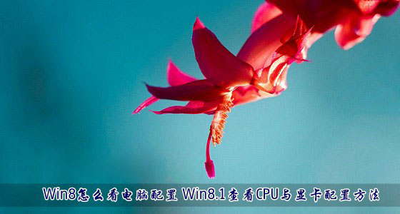 Win8系统中怎么看电脑配置情况？Win8.1查看CPU与显卡配置方法介绍