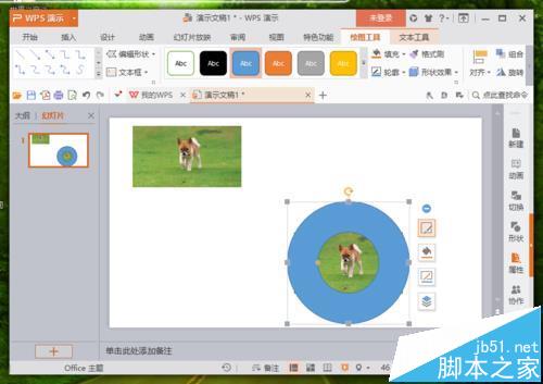 WPS中的图片怎么改变形状?