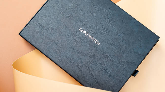 OPPO Watch ECG版体验如何 OPPO Watch ECG版体验评测