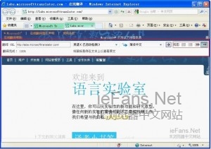 怎么让网页自动翻译？ 在IE浏览器中实现网页自动翻译的方法