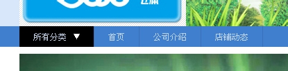 淘宝店铺导航装修怎么编辑？淘宝新旺铺导航CSS代码使用修改技巧