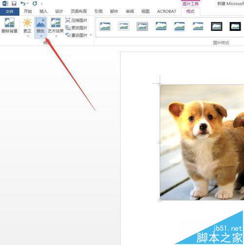 Word2016插入图片怎么调整亮度?