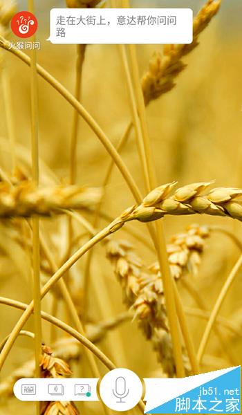 火猴浏览器手机版怎么更换皮肤?