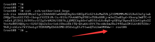 两台Linux系统主机建立ssh信任关系的过程