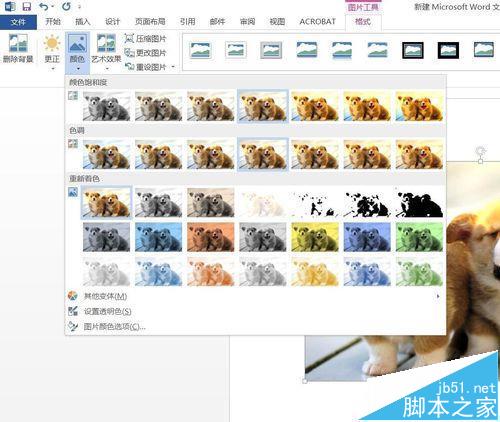 Word2016插入图片怎么调整亮度?