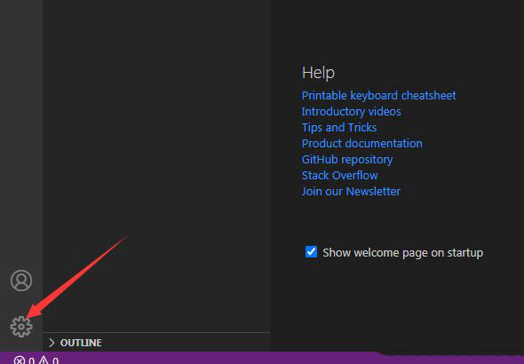 VSCode类型参数怎么显示? VSCode显示类型参数的技巧