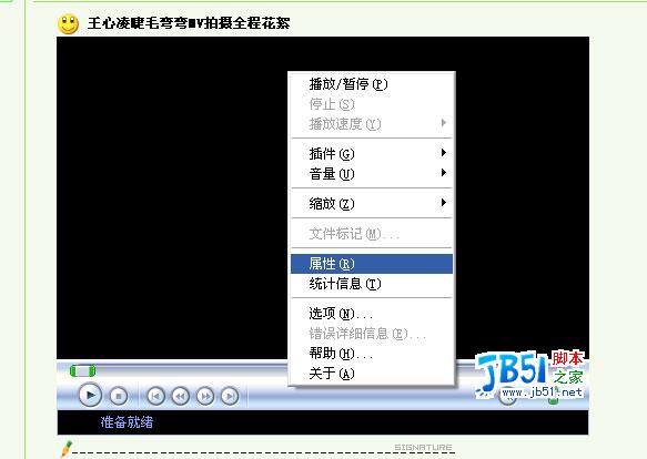 多种下载在线网络视频的方法（mcq0544分享）