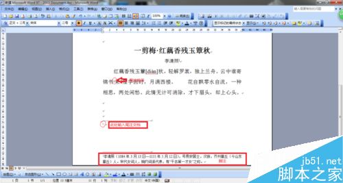 在word文档中怎么插入正确的注解?