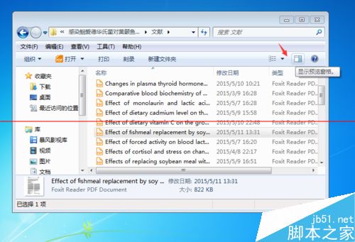 PDF文档怎么设置快速预览？