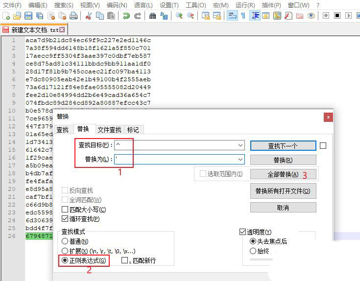 notepad首尾怎么添加引号? notepad++批量添加引号的技巧