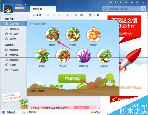 植树节怎么在迅雷里领养幸福树？