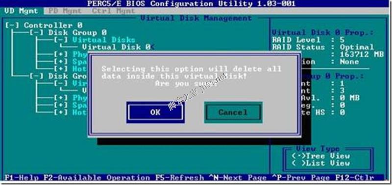 Dell R710 raid磁盘阵列配置手册(大图版)