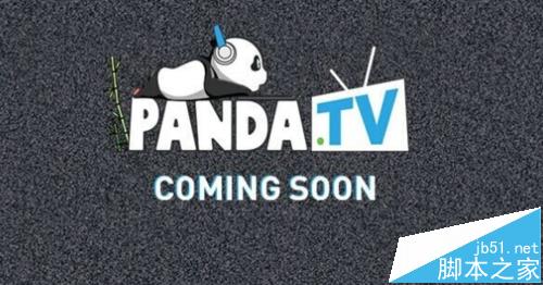 熊猫tv如何搜索房间号? 熊猫tv搜索直播房间号的教程