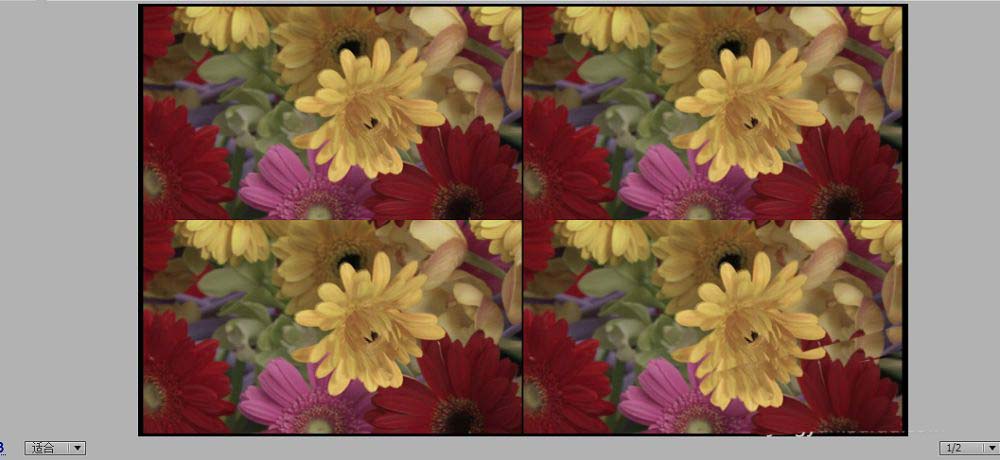 premiere怎么复制特效? pr视频剪辑复制特效的技巧