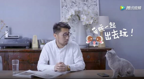 菜鸟裹裹萌急送是什么 菜鸟裹裹萌急送宠物递送服务详细介绍