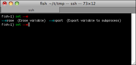 在Mac OS上使用Fish Shell的基础教程