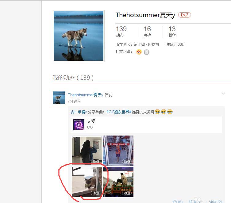 网易云音乐中的gif动图怎么下载保存?