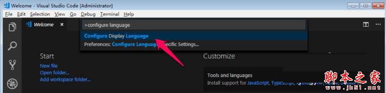 Vscode中文语言设置教程介绍