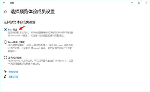 Win10 Dev预览版Build 20197怎么手动更新