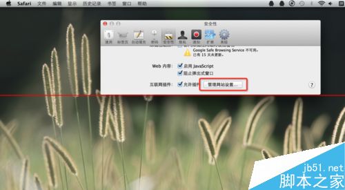 mac系统flash老是过期一个月更新好几次该怎么办？