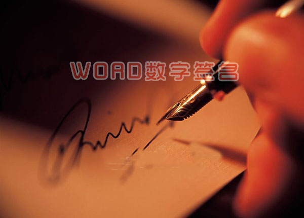 word数字签名有什么用？word数字签名保护文档方法步骤