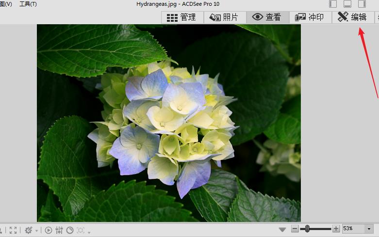 acdsee怎么编辑图片? acdsee的使用教程