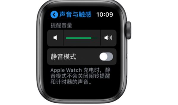 Apple Watch Series 5怎么调节声音大小