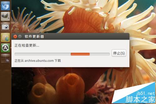 Ubuntu系统怎么手动进行更新升级?