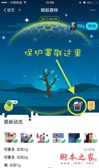 蚂蚁森林保护罩是什么意思？蚂蚁森林保护罩介绍