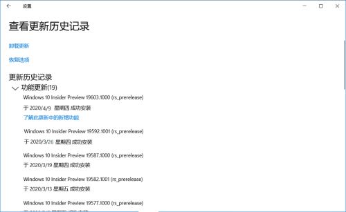 Win10 19608快速预览版怎么手动更新?