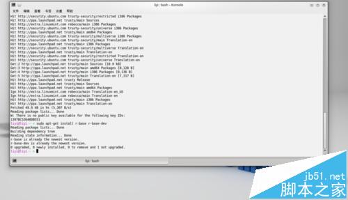 Linux通过添加PPA形式更新R软件版本方法
