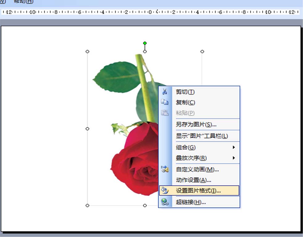 ppt怎么旋转图片? ppt调整图片角度的教程