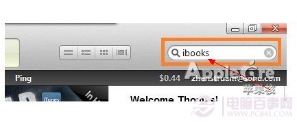 苹果ibooks怎么用 苹果ibooks电子书使用图解