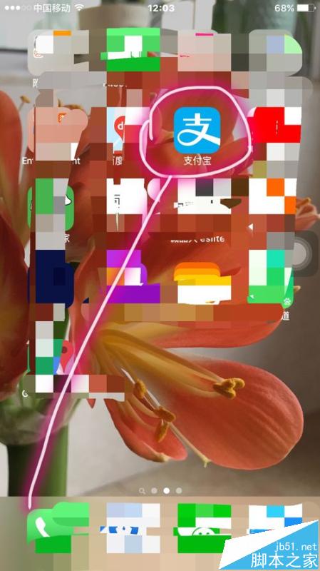 支付宝手机app怎么查询社保缴费情况?