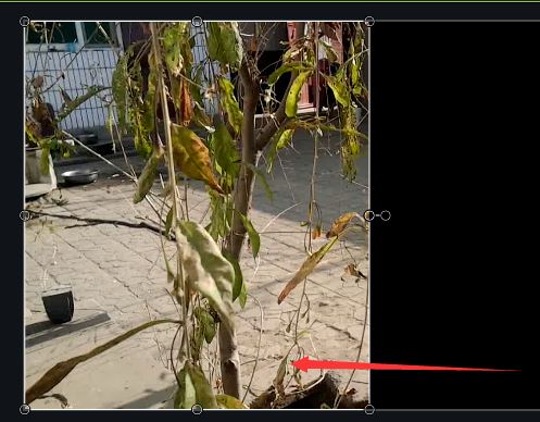 camtasia怎么实现两个视频在一个屏幕上同时播放