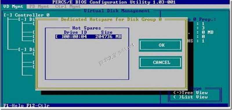 Dell R710 raid磁盘阵列配置手册(大图版)