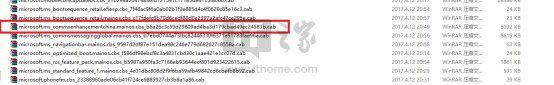 Win10 Mobile一周年更新14393.1066离线更新包V11发布