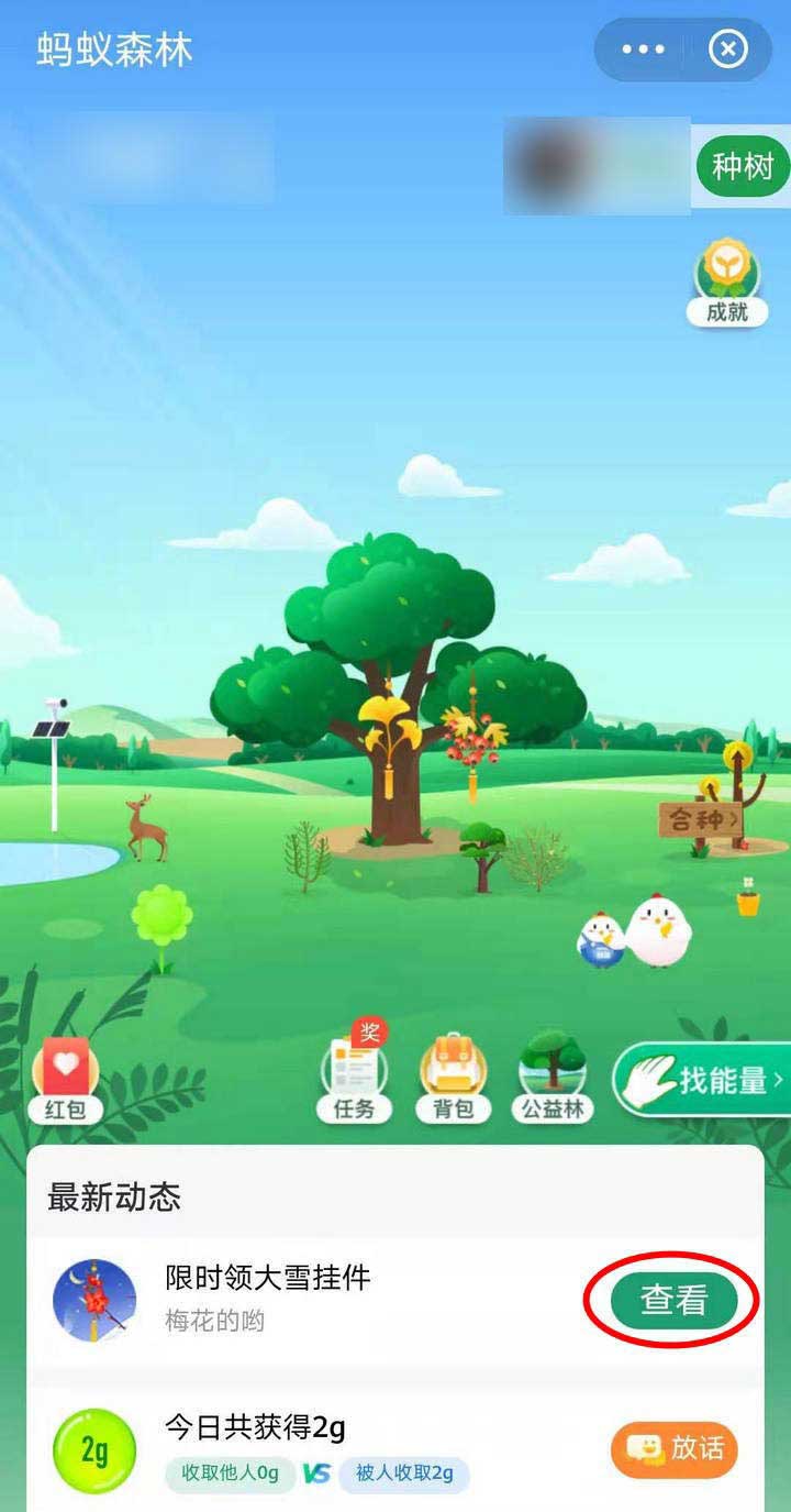 支付宝蚂蚁森林怎么获得大雪挂件?