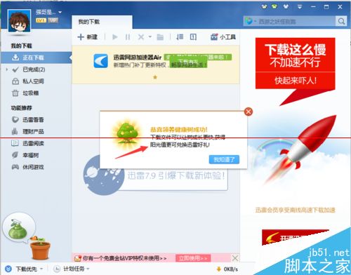 植树节怎么在迅雷里领养幸福树？