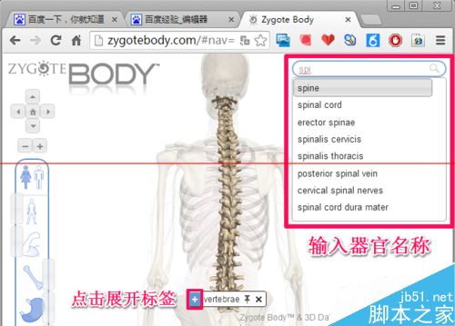 人体浏览器是什么？谷歌人体浏览器的使用方法