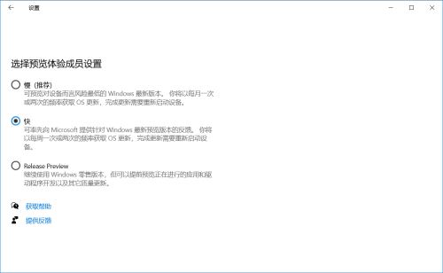 Win10 19608快速预览版怎么手动更新?