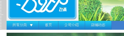 淘宝店铺导航装修怎么编辑？淘宝新旺铺导航CSS代码使用修改技巧