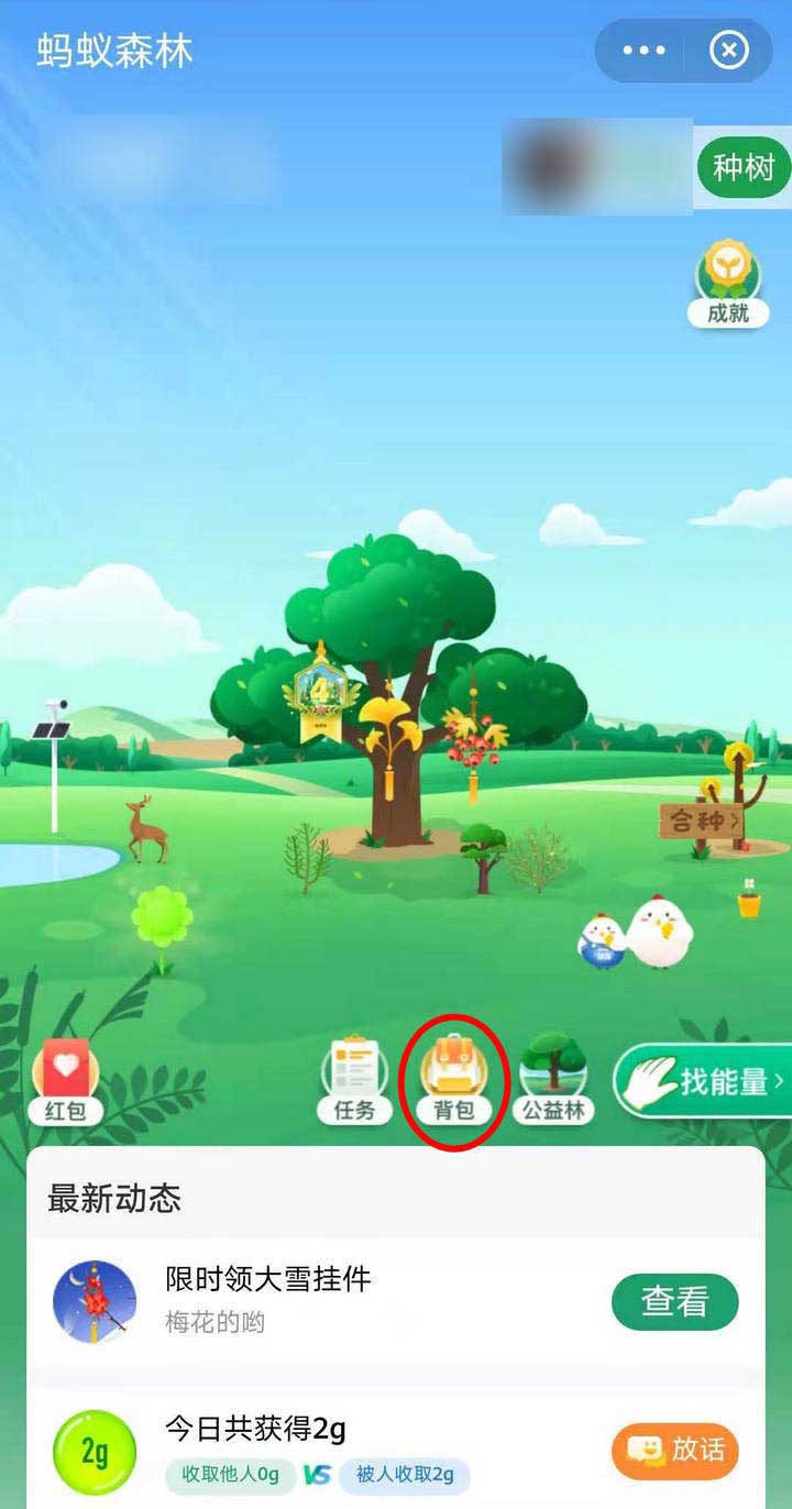 支付宝蚂蚁森林怎么获得大雪挂件?