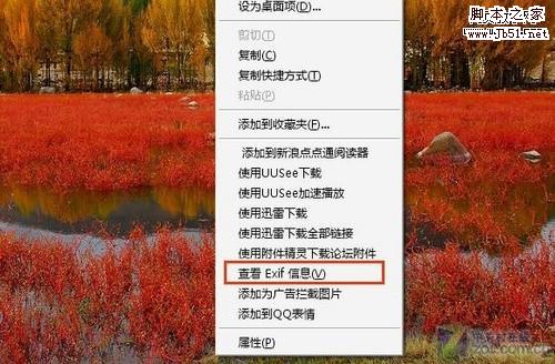 在浏览器中直接查看照片的EXIF信息的方法