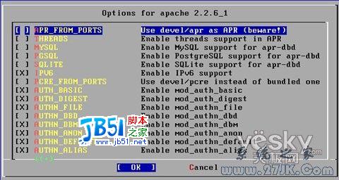 FreeBSD 6.2架设网站服务器教程图解