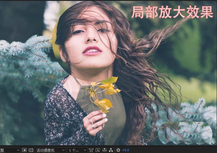 AE素材怎么制作局部放大效果? ae放大动画的制作方法