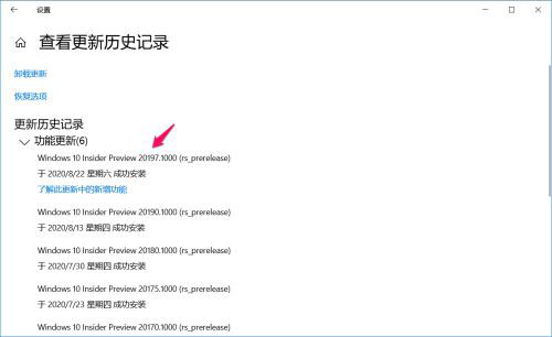 Win10 Dev预览版Build 20197怎么手动更新