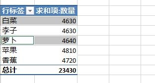 Excel2013数据透视表字段分组图文步骤