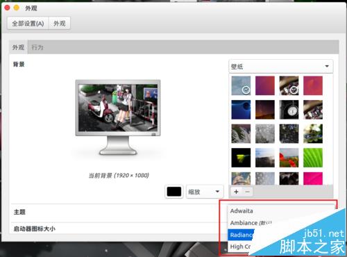 ubuntu16.04怎么更换自定义主题? ubuntu16.04主题的两种设置方法