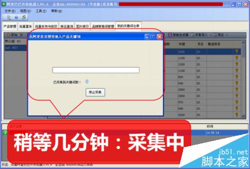 阿里巴巴国际站关键词一键采集分析详解
